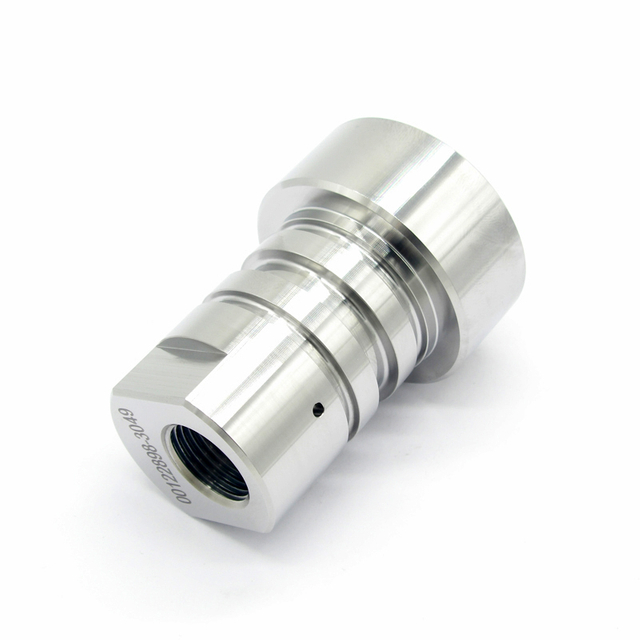 الجسم الرئيسي لصمام الفحص، 60 كيلو 100009-1